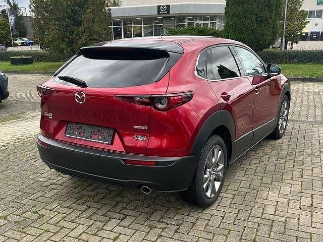 Gebraucht Mazda CX-30 Selection 122 PS (89 kW) 2019 Soul red crystal SUV