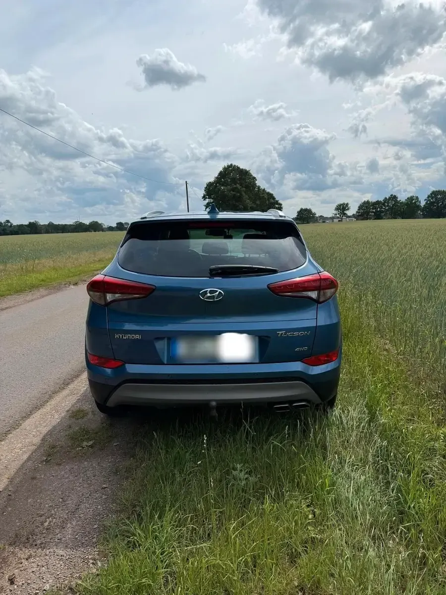 Gebraucht Hyundai Tucson Style 185 PS (136 kW) 2017 Blau SUV