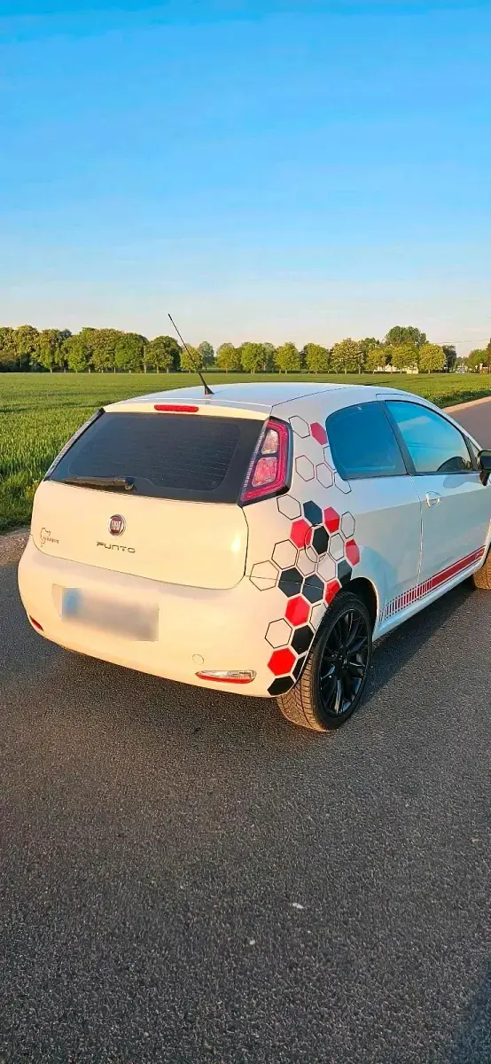 Gebraucht Fiat Punto 69 PS (50 kW) 2013 Weiß Kleinwagen
