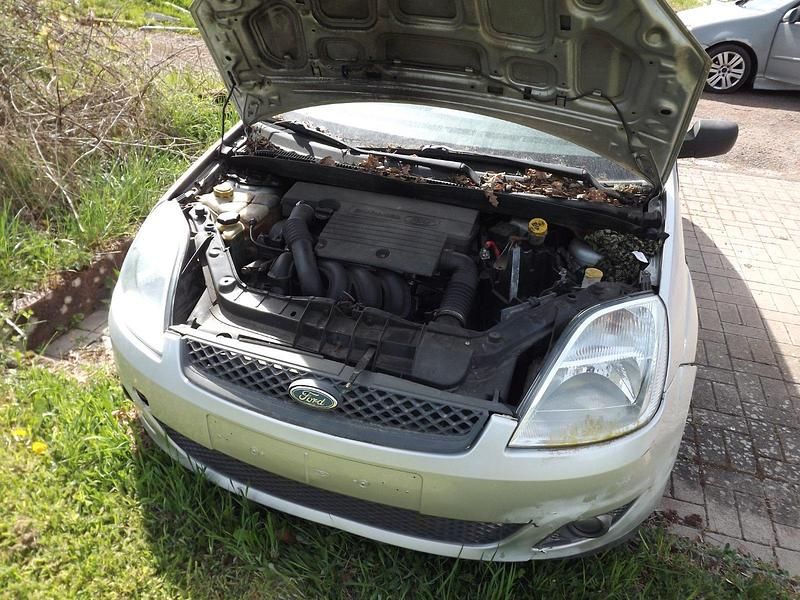 Używany Ford Fiesta 101 KM (74 kW) 2003 Srebrny Hatchback