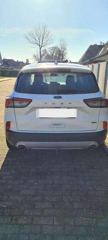 Gebraucht Ford Kuga Titanium 224 PS (164 kW) 2020 SUV