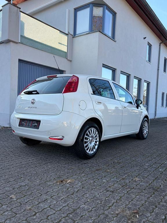 Gebraucht Fiat Punto Young 69 PS (50 kW) 2016 Weiß Kleinwagen