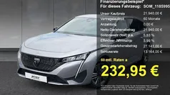 Grau Gebraucht 2024 Peugeot 308 Allure Kombi | 21.940 € (Superpreis)