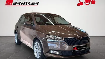Usata Skoda Fabia Clever 75 CV (55 kW) 2019 Marrone Utilitaria