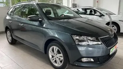 Gebraucht Skoda Fabia Ambition 95 PS (69 kW) 2021 Grau Kleinwagen