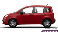 Rot Neu 2025 Fiat Panda Kleinwagen | 13.644 € (Guter Preis)