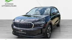 Grau Gebraucht 2025 Skoda Kodiaq Selection SUV | 47.990 € (Guter Preis)