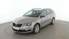 Gold Gebraucht 2019 Skoda Octavia Soleil Kombi | 18.960 € (Fairer Preis)