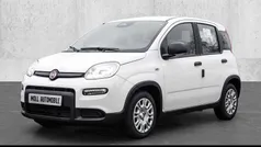 Gelato weiß Neu 2025 Fiat Panda Kleinwagen | 13.875 € (Fairer Preis)