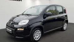 Cinema schwarz Gebraucht 2024 Fiat Panda Kleinwagen | 14.870 € (Fairer Preis)
