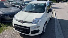 Weiß Neu 2025 Fiat Panda Kleinwagen | 13.450 € (Guter Preis)