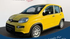 509 / tropicali gelb Gebraucht 2025 Fiat Panda Kleinwagen | 14.990 € (Fairer Preis)