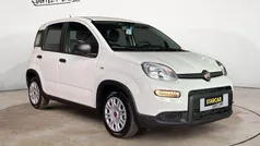 Colore esterno (weiss) Neu 2024 Fiat Panda Kleinwagen | 11.970 € (Superpreis)