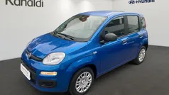 Blau Neu 2025 Fiat Panda Kleinwagen | 13.990 € (Fairer Preis)