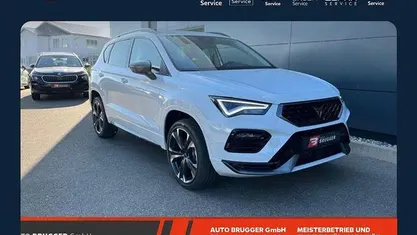 Gebraucht Cupra Ateca 150 PS (110 kW) 2026 SUV