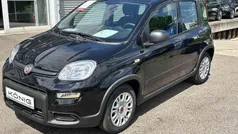 Gebraucht 2024 Fiat Panda Kleinwagen | 14.389 € (Fairer Preis)