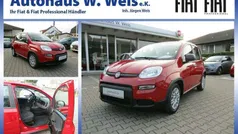 Rot Neu 2024 Fiat Panda Kleinwagen | 15.500 €