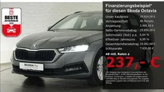 Grau Gebraucht 2023 Skoda Octavia Ambition Kombi | 19.824 € (Guter Preis)