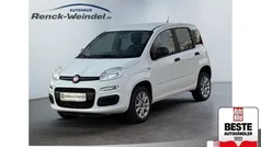 Weiss Gebraucht 2020 Fiat Panda Easy Kleinwagen | 10.489 € (Fairer Preis)