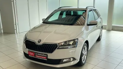 Gebraucht Skoda Fabia Ambition 95 PS (69 kW) 2022 Moonweiss metallic Kleinwagen