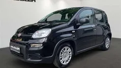 Colore esterno (cinema schwarz Neu 2024 Fiat Panda Cross Kleinwagen | 14.990 € (Superpreis)