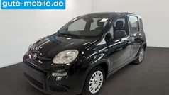 Andere farbe Neu 2024 Fiat Panda Kleinwagen | 14.990 € (Fairer Preis)