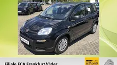 Gebraucht 2024 Fiat Panda Kleinwagen | 11.998 € (Fairer Preis)