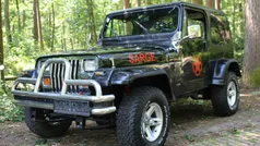 Gebraucht 1992 Jeep Wrangler SUV | 11.150 €
