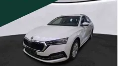 Candy weiss Gebraucht 2023 Skoda Octavia Style Kombi | 22.660 € (Fairer Preis)
