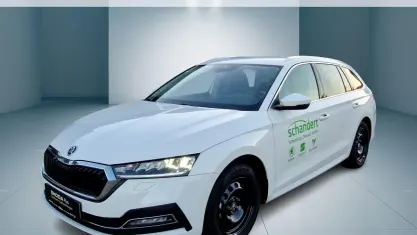 Gebraucht Skoda Octavia Style 150 PS (110 kW) 2024 Candyweiß Kombi