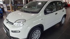 Weiß Neu 2024 Fiat Panda Kleinwagen | 15.290 € (Fairer Preis)
