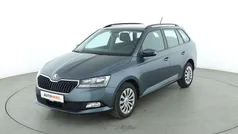 Grau Gebraucht 2020 Skoda Fabia Ambition Kleinwagen | 13.870 € (Fairer Preis)