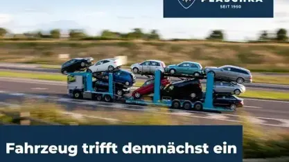 Gebraucht Skoda Fabia Monte Carlo 150 PS (110 kW) 2025 Graphitegrau Kleinwagen