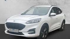 Frostweiß Gebraucht 2021 Ford Kuga ST-Line SUV | 24.600 € (Fairer Preis)