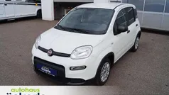 Colore esterno (weiss) Gebraucht 2023 Fiat Panda Kleinwagen | 12.390 € (Fairer Preis)