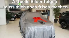 Grau Gebraucht 2024 Skoda Fabia Monte Carlo Limousine | 23.490 € (Fairer Preis)