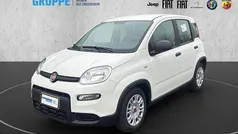 Weißandere Neu 2024 Fiat Panda Basis Kleinwagen | 11.990 € (Superpreis)