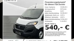 Weiss Neu 2024 Fiat Ducato Van | 30.480 € (Fairer Preis)