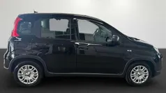 Cinema schwarz Neu 2024 Fiat Panda Kleinwagen | 14.990 € (Fairer Preis)