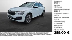 Moonweiss metallic Gebraucht 2024 Skoda Kamiq Selection SUV | 26.990 € (Fairer Preis)