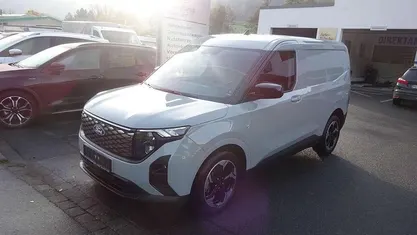 Cactus gray Gebraucht 2025 Ford Transit Limited Van / Kleinbus | 28.900 € (Superpreis)