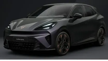 Gebraucht Cupra Raval Endurance 155 kW (211 PS) 2026 Violett SUV