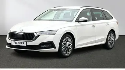 Gebraucht Skoda Octavia Ambition 150 PS (110 kW) 2023 Candy weiss Kombi