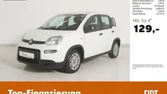 Weiß Gebraucht 2023 Fiat Panda Kleinwagen | 11.980 € (Fairer Preis)