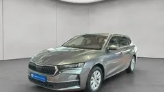 Candyweiß Gebraucht 2024 Skoda Octavia Fresh Kombi | 23.585 € (Superpreis)