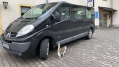 Unbekannt (metallic) Gebraucht 2013 Renault Trafic Authentique Van | 10.900 € (Teuer)