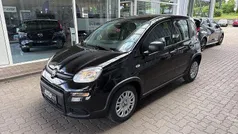 Gebraucht 2024 Fiat Panda Kleinwagen | 15.990 € (Fairer Preis)
