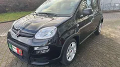 Schwarz Neu 2024 Fiat Panda Kleinwagen | 14.990 € (Fairer Preis)