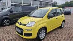 Positanogelb Neu 2025 Fiat Panda Icon Kleinwagen | 15.990 € (Fairer Preis)