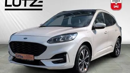 Usata Ford Kuga ST-Line X 243 CV (178 kW) 2022 Bianco SUV